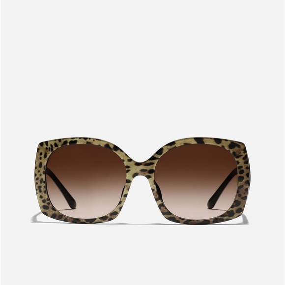 Dolce Gabbana Print Family (Leopard) Brown Gradient Lens NEW!!!!!??️ main image 6